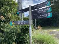 鋸山登山！