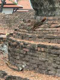 Wat Phra Si Sanphet: A Serene Evening at Ayutthaya's Iconic Temple