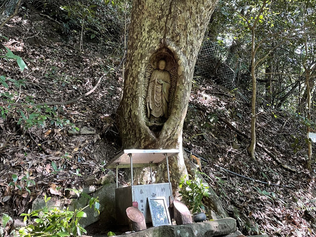 🇯🇵【愛媛】耳の病気が叶う！？切山（生き木地蔵）