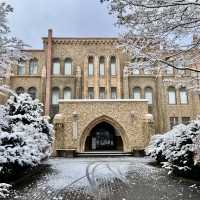 Discover Hokkaido’s Hidden Wonders