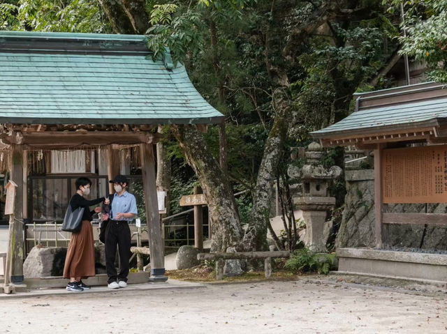 志賀島神社行程全攻略🥰超推薦❤️