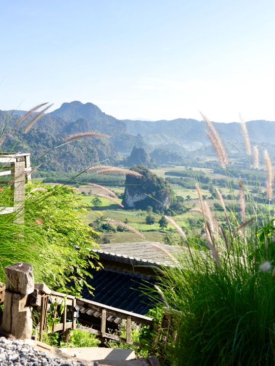 สัมผัสสายหมอก โอบกอดขุนเขา ที่ภูลังกา 🏞️✨