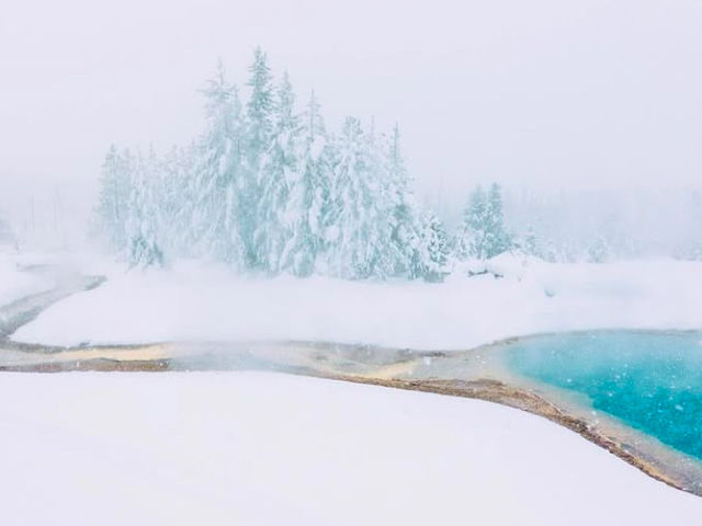 3 Reasons Why Yellowstone Should Be on Your Next Christmas Trip