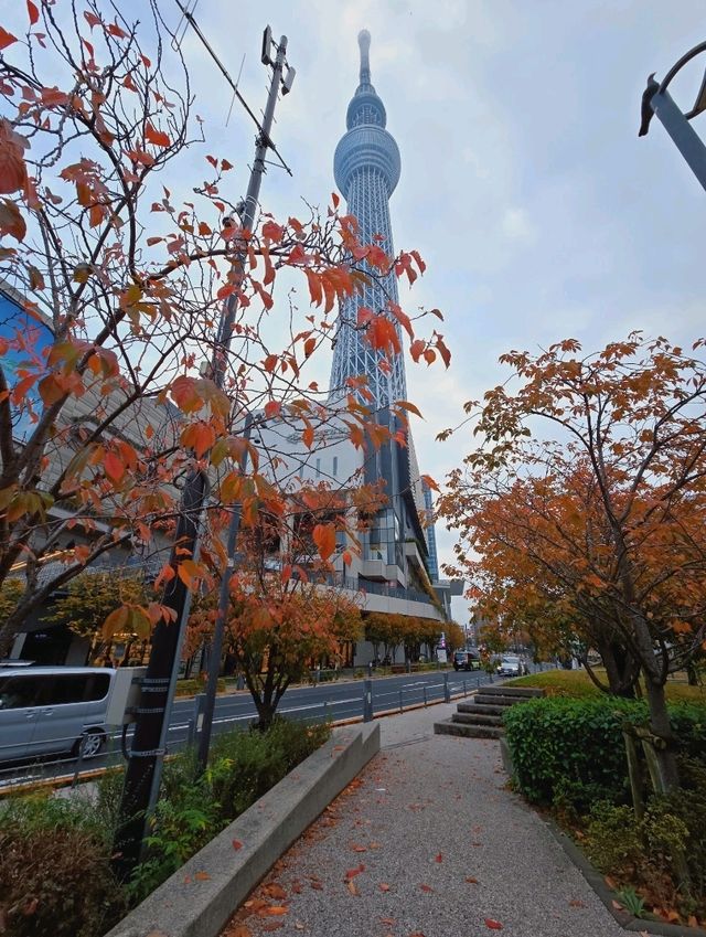 ❣️แจกพิกัดถ่ายรูปกับ Tokyo Sky Tree📸