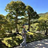 서울 근교 최고의 힐링 자연 스팟 화담숲🌳