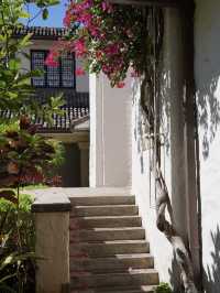 Artistry in Paradise: Exploring the Honolulu Museum of Art