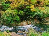 宮城🇯🇵鳴子峽