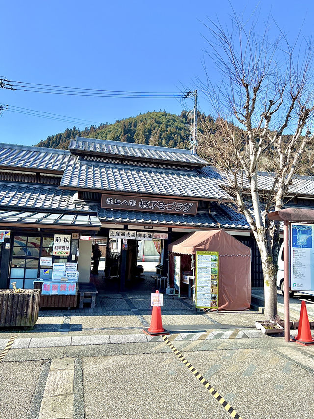 ［日本北陸旅行］郡上八幡城下町-日本小秘境🌊