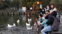 Christmas Weekend at Chimei Museum in Tainan