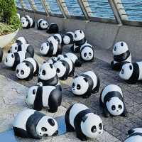 PANDA GO！香港-聖誕必去，逾2000隻大熊貓雕塑萌爆香港