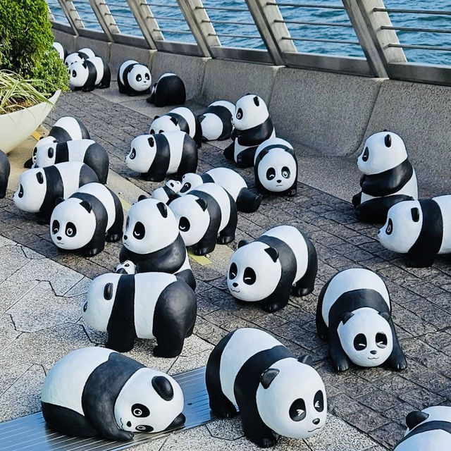 PANDA GO！香港-聖誕必去，逾2000隻大熊貓雕塑萌爆香港