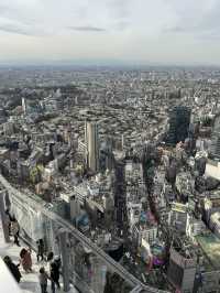 渋谷の高層ビル群を一望できる最高の展望台