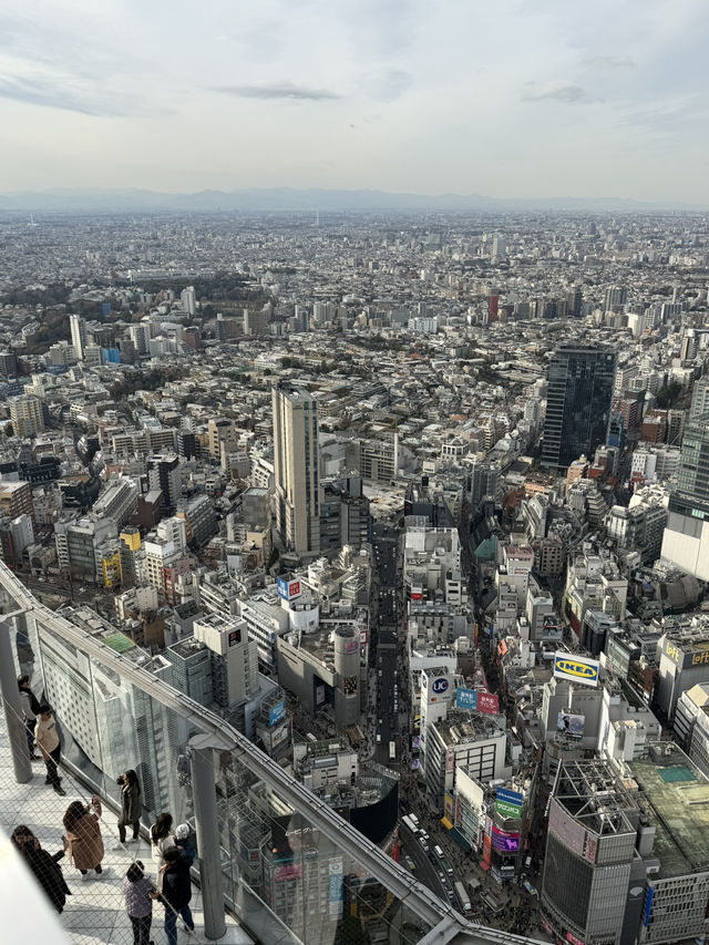渋谷の高層ビル群を一望できる最高の展望台