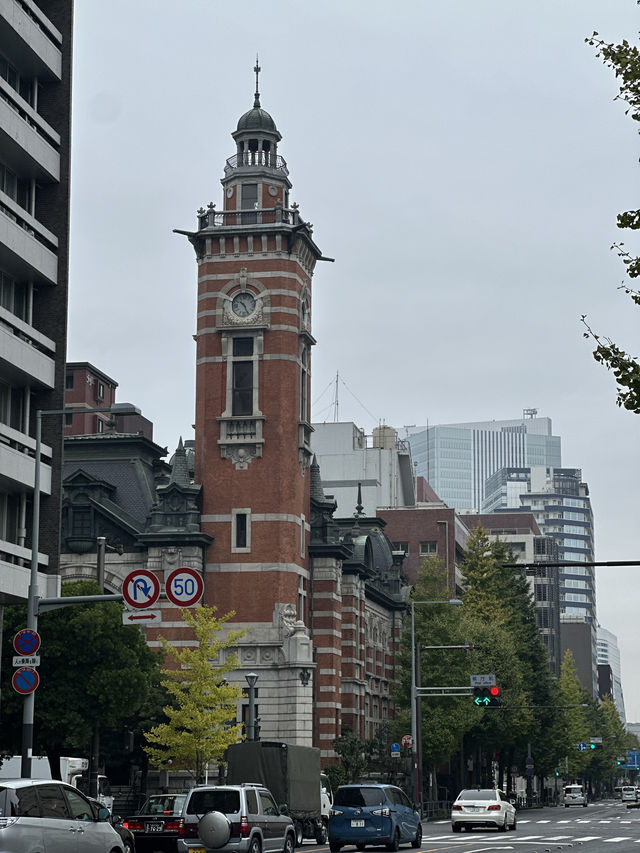 🍂 黄金色に輝く秋の風景：横浜日本大通り 🌳  