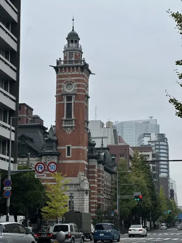 🍂 黄金色に輝く秋の風景:横浜日本大通り 🌳