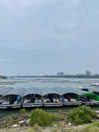 🥰🤍白色浪漫～南區必去國家生態公園🏞️🌳