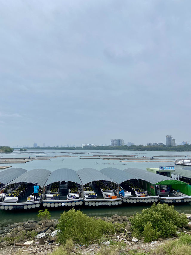 🥰🤍白色浪漫～南區必去國家生態公園🏞️🌳