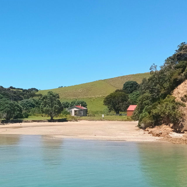 Welcoming 2025 in Paradise: Bay of Islands Magic