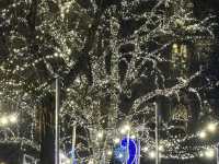 Ring in the New Year in Elegant Vienna