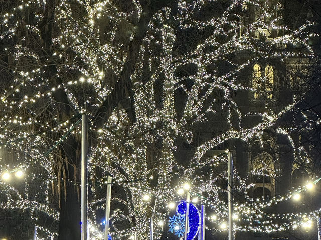 Ring in the New Year in Elegant Vienna