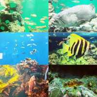 東京葛西臨海水族園
