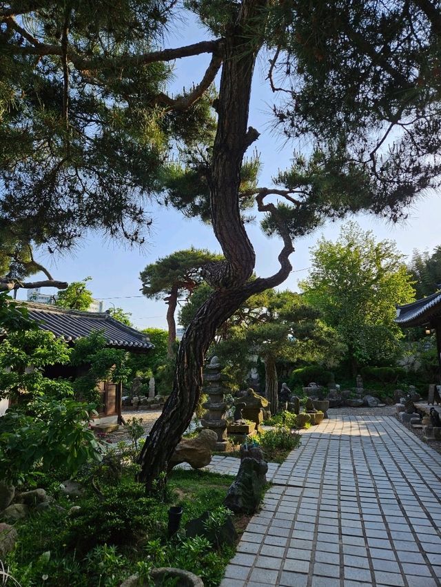 ⛰️숲속에 있는 독특한 한옥 카페🇰🇷☕