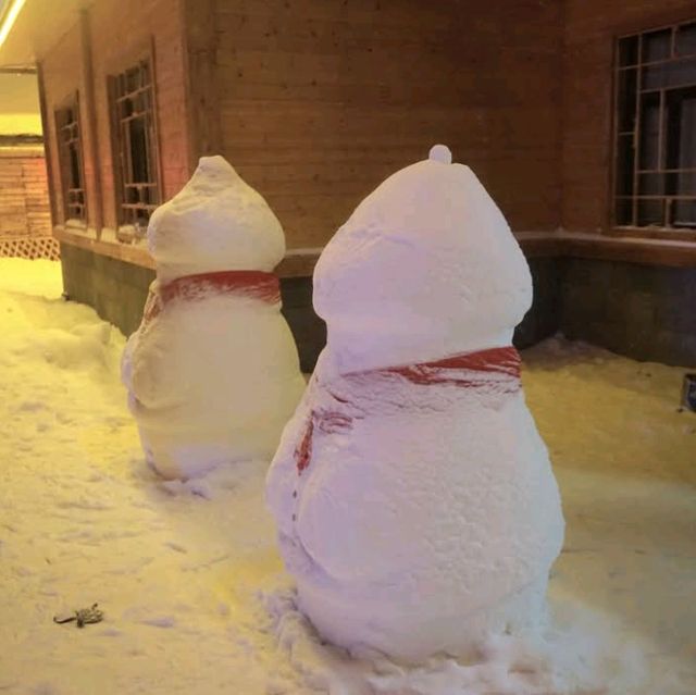The China Snow Town