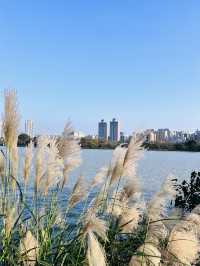 ［桃園旅遊］桃園埤塘1-16號池💧桃園小秘境