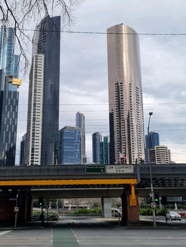멜버른 아랴 강의 겨울시즌🇦🇺