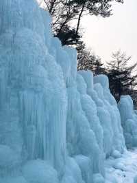 ⛄️冬季限定｜現實版冰雪奇緣❄️