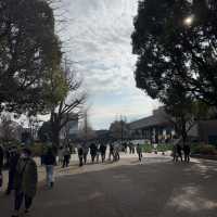 Relaxing time at Ueno Park, Tokyo