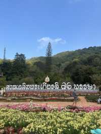 ดอยอ่างขาง จังหวัดเชียงใหม่