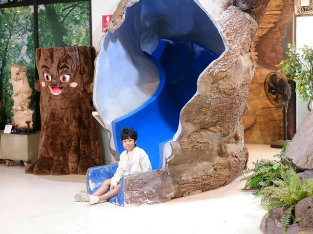 พิพิธภัณฑ์ไม้กลายเป็นหิน 🏛️🦕 