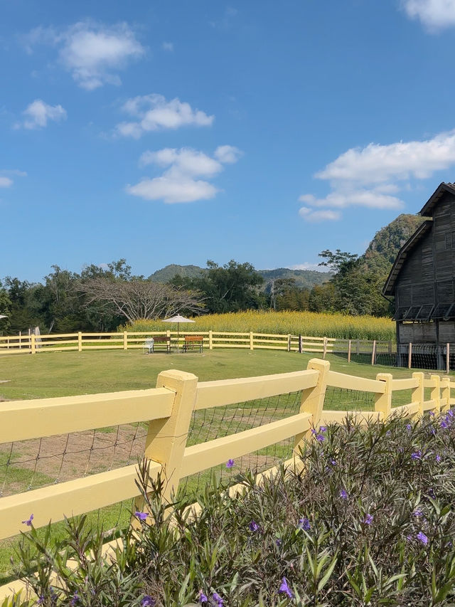 เที่ยวเขาใหญ่ฟีลต่างประเทศ 𝗣𝗿𝗶𝗺𝗼 𝗣𝗶𝗮𝘇𝘇𝗮