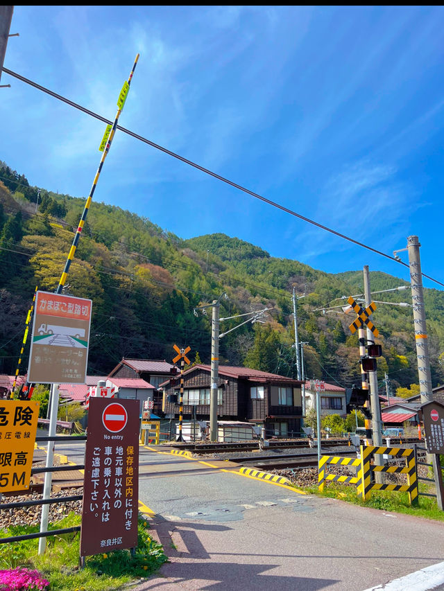 【長野】SL機関車を見に行こう!!