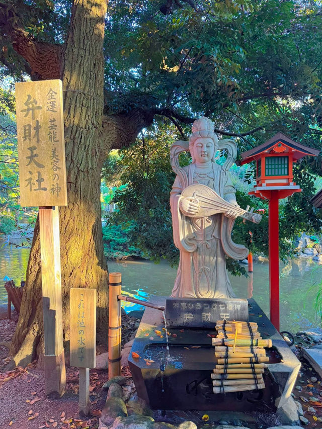 【神奈川】馬好きさんはここ行って🐴ご利益たくさんなパワースポット