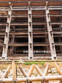 混んでいても行きたい京都の定番【清水寺】