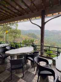 Sipping Tea Above the City: A Morning at Sunyang Tea House, Maokong