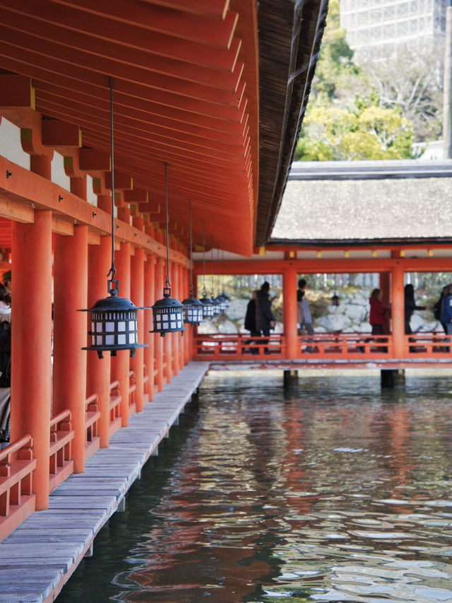 【広島】究極のパワースポット💪厳島神社で神秘体験✨