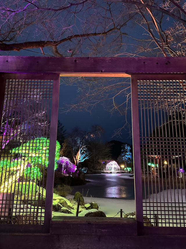 옥씨부인전 촬영지! 가평 아침고요수목원에서 별빛축제즐기기💜