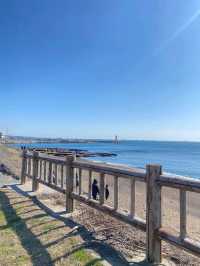 🌊 사계해안에서 만나는 제주 바다의 절경! 🌊
