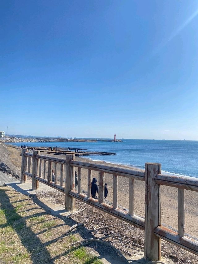 🌊 사계해안에서 만나는 제주 바다의 절경! 🌊