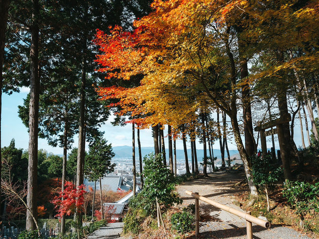 วัดเอ็นโคจิ (圓光寺, Enkōji) 