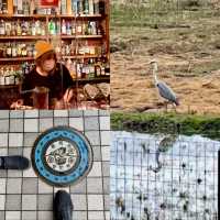 Toyooka city - one worth a few days of vacation
