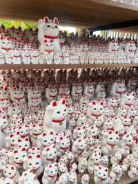 Gotokuji Temple 😸 วัดแมวกวักนำโชคในโตเกียว