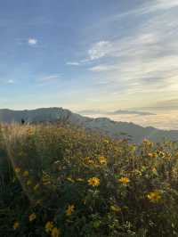 ภูชี้ฟ้า | เชียงราย ⛰️☀️🌳☁️