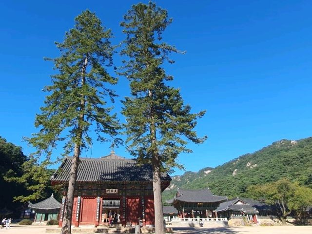 잘 가꾼 정원이 아름다운 청남대, 보은 법주사