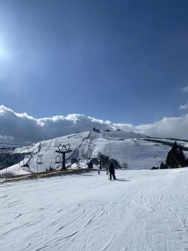 琵琶湖空中樂園：四季美景與活動盡在「琵琶湖山谷」