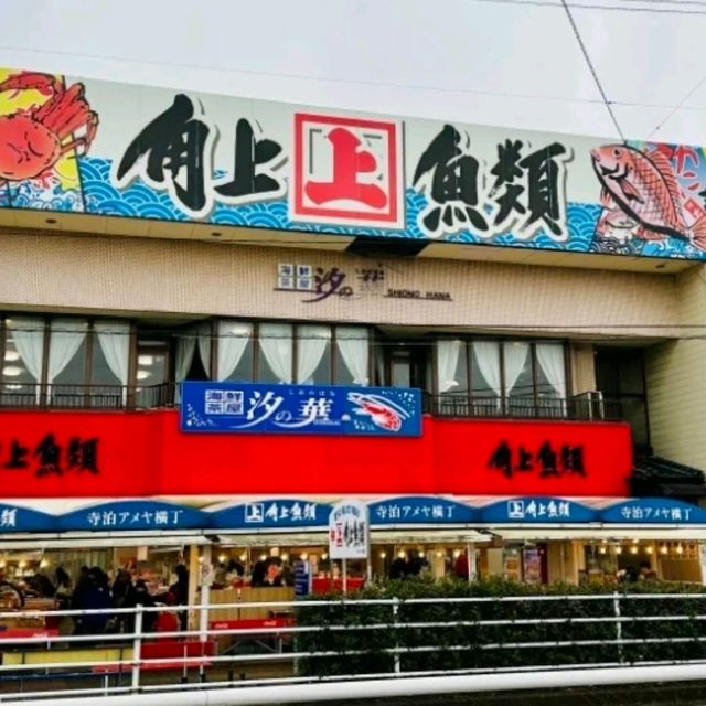 【寺泊魚市場朝市競標體驗】