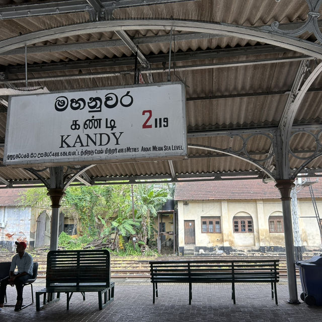 これが世界一美しい鉄道！スリランカ紅茶列車に乗ってみた🇱🇰